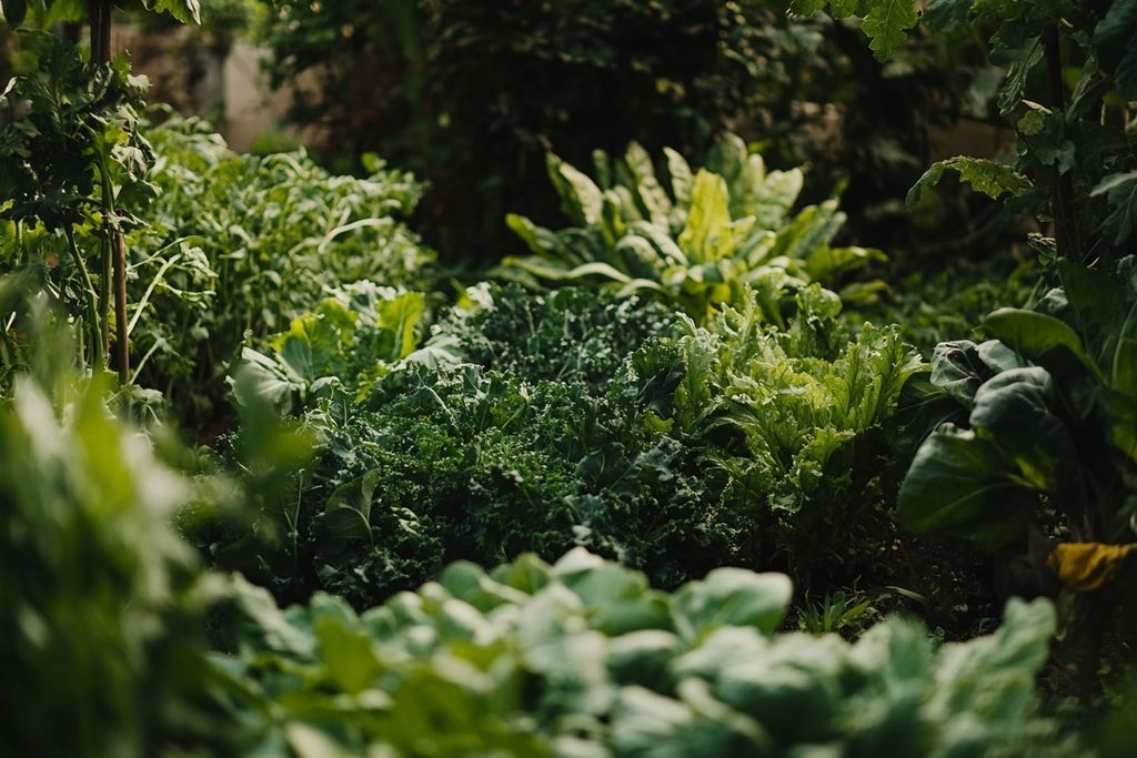 Cultiver la tétragone dans votre jardin