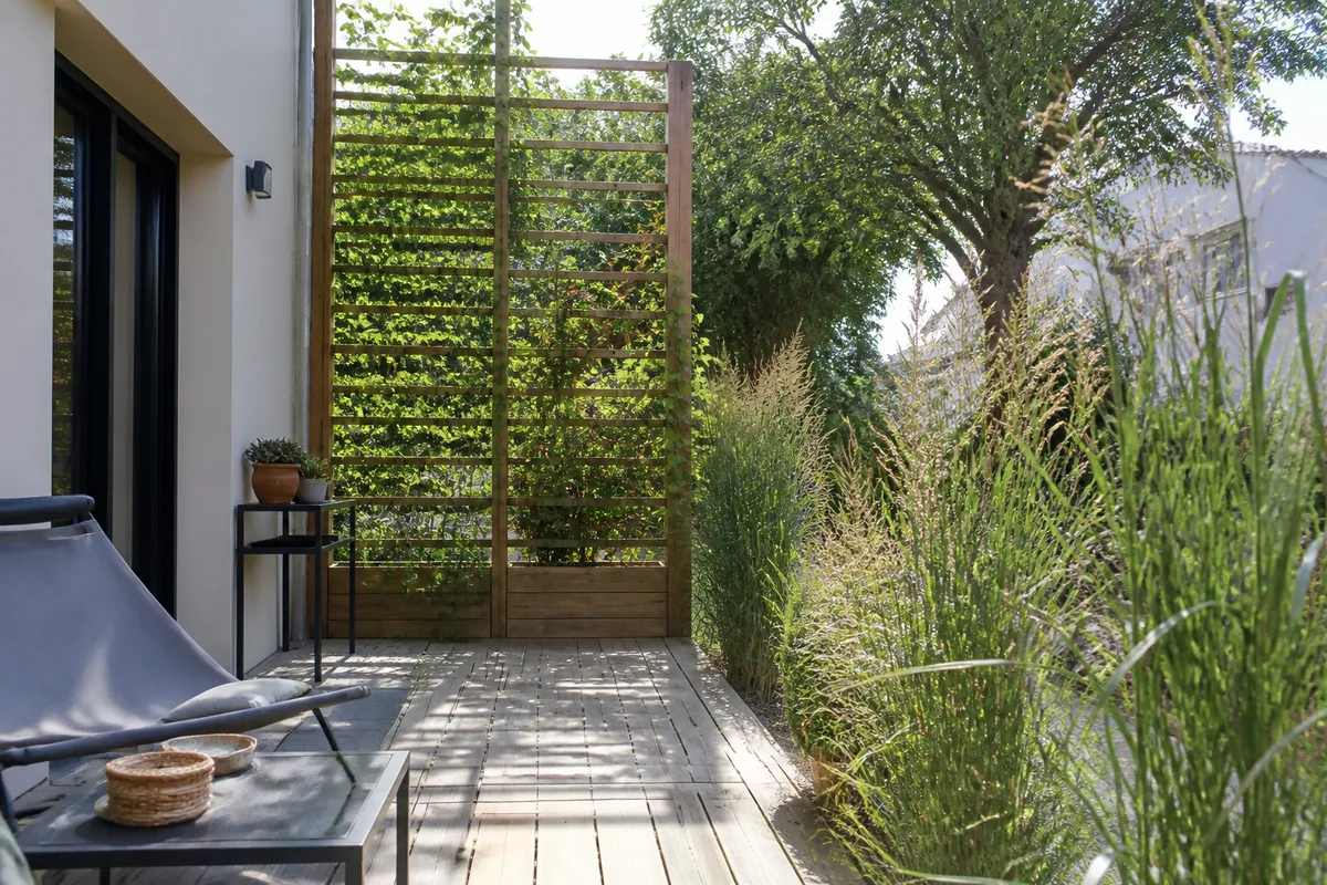 Écran végétal léger avec grimpante et graminées pour cacher un vis-à-vis sur une terrasse lumineuse